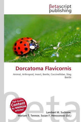 Dorcatoma Flavicornis