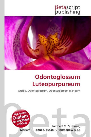 Odontoglossum Luteopurpureum