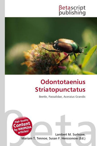 Odontotaenius Striatopunctatus