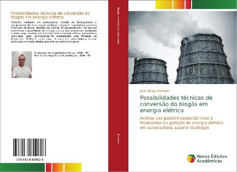 Possibilidades técnicas de conversão do biogás em energia elétrica