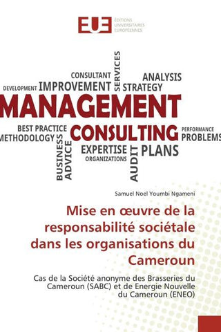 Mise en ¿uvre de la responsabilité sociétale dans les organisations du Cameroun