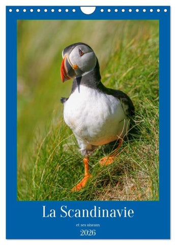 La Scandinavie et ses oiseaux (Calendrier mural 2026 DIN A4 horizontal), CALVENDO calendrier mensuel
