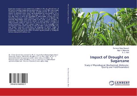 Impact of Drought on Sugarcane