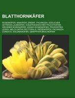 Blatthornkäfer