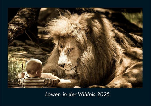 Löwen in der Wildnis 2025 Fotokalender DIN A4