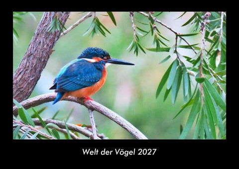 Welt der Vögel 2027 Fotokalender DIN A3