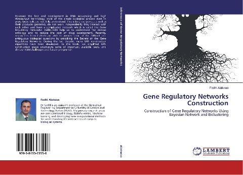 Gene Regulatory Networks Construction