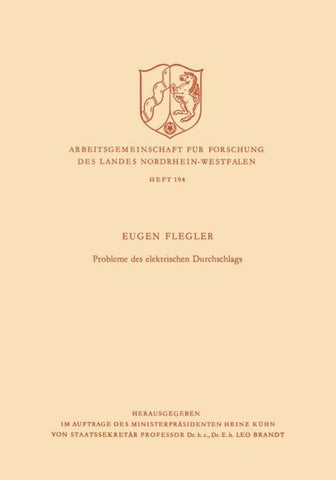 Probleme des elektrischen Durchschlags