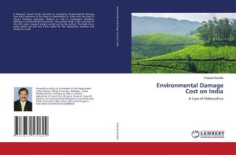 Environmental Damage Cost on India