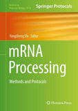 mRNA Processing