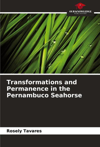 Transformations and Permanence in the Pernambuco Seahorse