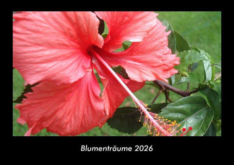 Blumenträume 2026 Fotokalender DIN A3