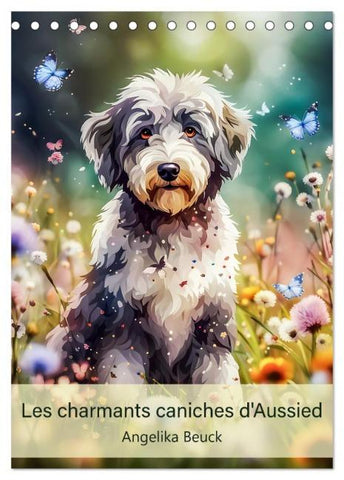 Les charmants caniches d'Aussied - Angelika Beuck (Calendrier de bureau 2026 DIN A5 horizontal), CALVENDO calendrier mensuel