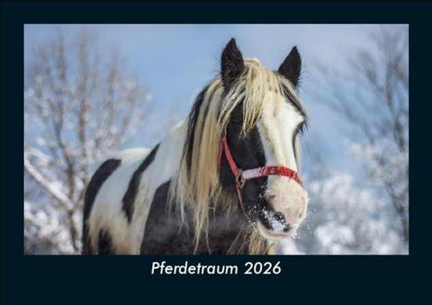 Pferdetraum 2026 Fotokalender DIN A5
