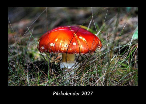 Pilzkalender 2027 Fotokalender DIN A3