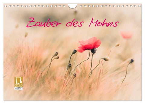 Zauber des Mohns (Wandkalender 2026 DIN A4 quer), CALVENDO Monatskalender