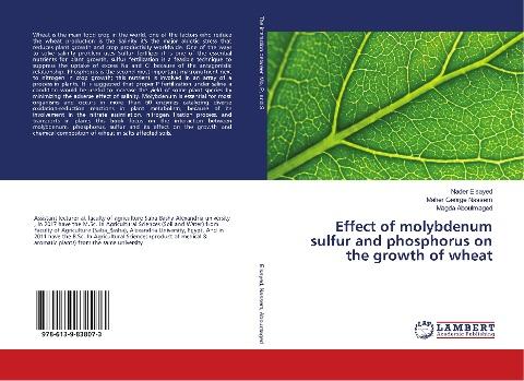Effect of molybdenum sulfur and phosphorus on the growth of wheat