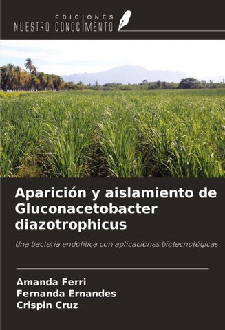 Aparición y aislamiento de Gluconacetobacter diazotrophicus
