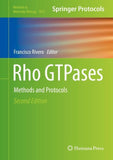 Rho GTPases