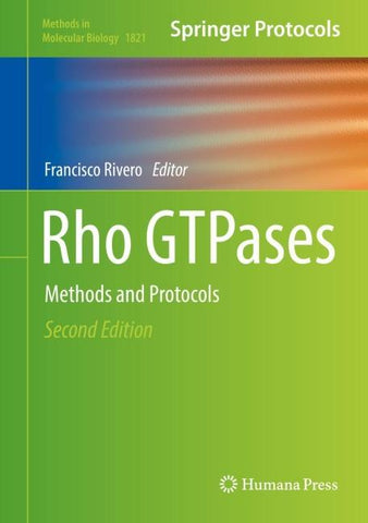 Rho GTPases