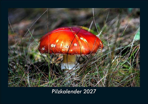 Pilzkalender 2027 Fotokalender DIN A5