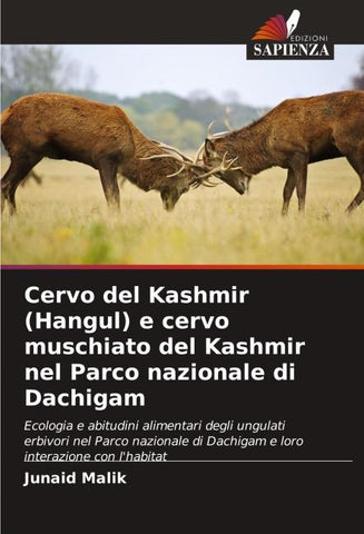 Cervo del Kashmir (Hangul) e cervo muschiato del Kashmir nel Parco nazionale di Dachigam