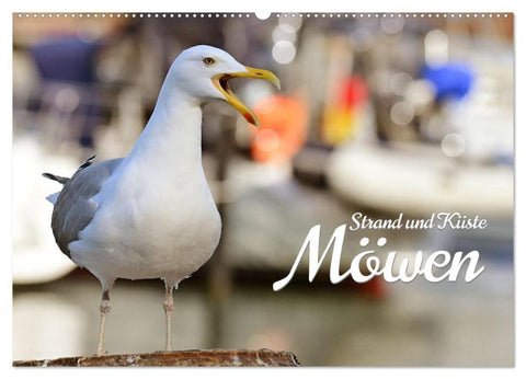 Strand und Küste - Möwen (Wandkalender 2026 DIN A2 quer), CALVENDO Monatskalender