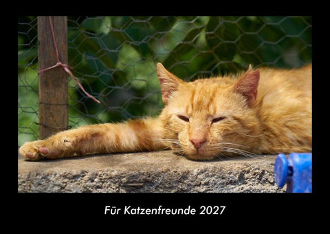 Für Katzenfreunde 2027 Fotokalender DIN A3