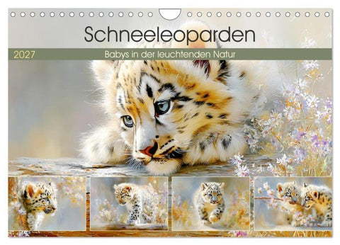 Schneeleoparden. Babys in der leuchtenden Natur (Wandkalender 2027 DIN A4 quer), CALVENDO Monatskalender