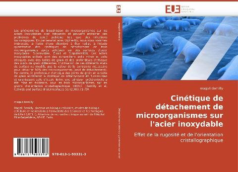 Cinétique de détachement de microorganismes sur l'acier inoxydable