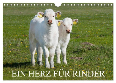 Ein Herz für Rinder (Wandkalender 2026 DIN A4 quer), CALVENDO Monatskalender