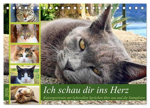 Ich schau dir ins Herz (Tischkalender 2026 DIN A5 quer), CALVENDO Monatskalender