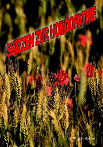 Skizzen zur Homöopathie