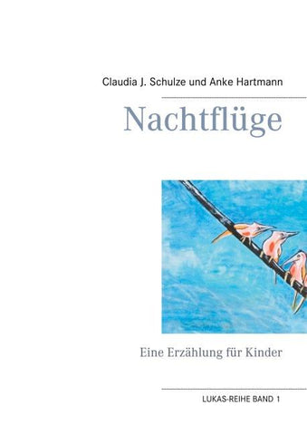 Nachtflüge