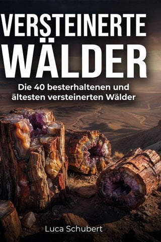 Versteinerte Wälder