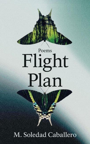 Flight Plan