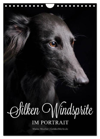 Silken Windsprite im Portrait (Wandkalender 2026 DIN A4 hoch), CALVENDO Monatskalender