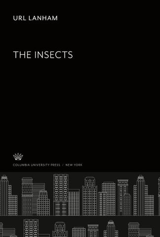 The Insects