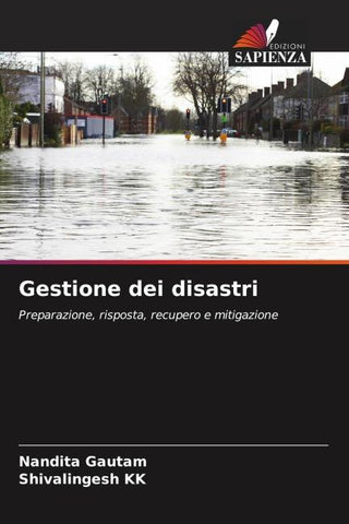 Gestione dei disastri