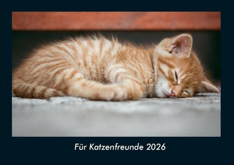 Für Katzenfreunde 2026 Fotokalender DIN A4