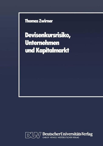 Devisenkursrisiko, Unternehmen und Kapitalmarkt