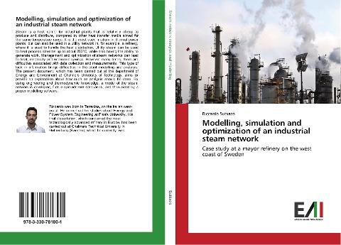 Modelling, simulation and optimization of an industrial steam network