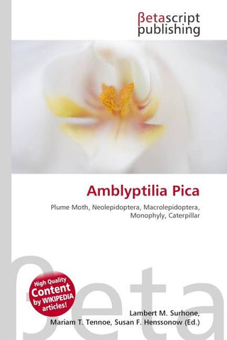 Amblyptilia Pica