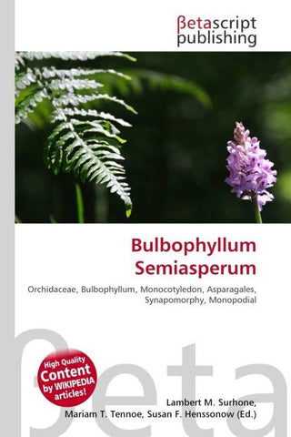 Bulbophyllum Semiasperum
