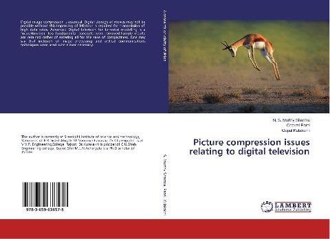 Picture compression issues relating to digital television