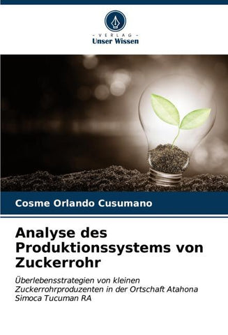 Analyse des Produktionssystems von Zuckerrohr