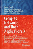 Complex Networks and Their Applications XI