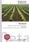 Wetland