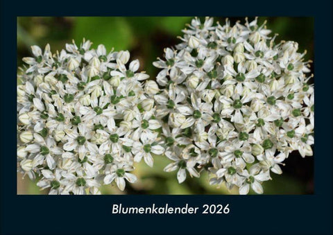 Blumenkalender 2026 Fotokalender DIN A4