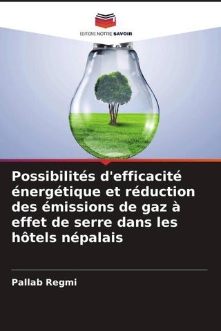 Possibilités d'efficacité énergétique et réduction des émissions de gaz à effet de serre dans les hôtels népalais